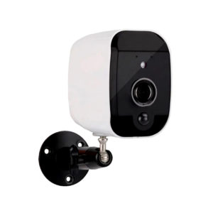 IP Cameras